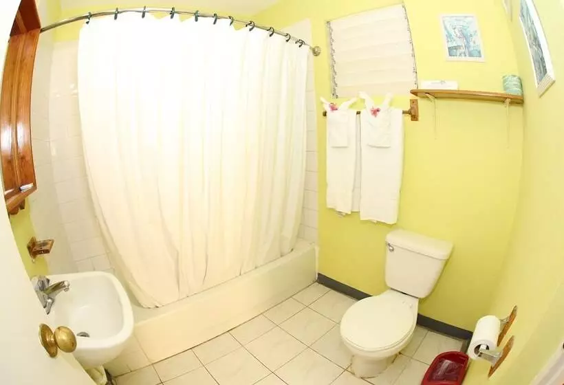 Fotos del hotel Seastar Inn:  12