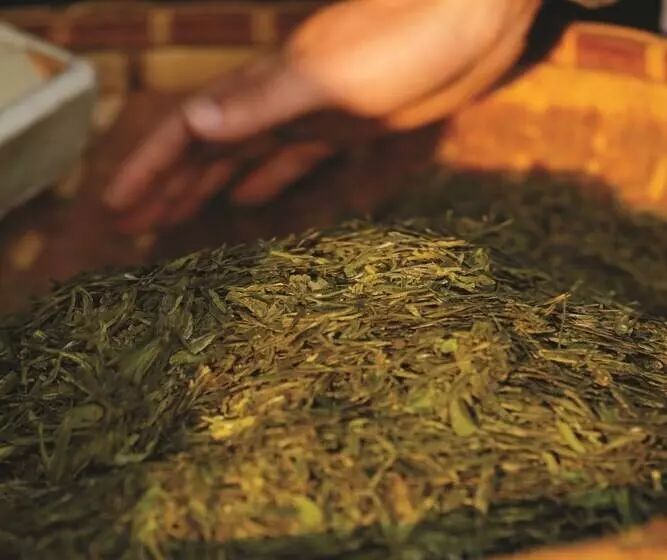 Fotos del hotel Four Seasons  Hangzhou At West Lake:  9