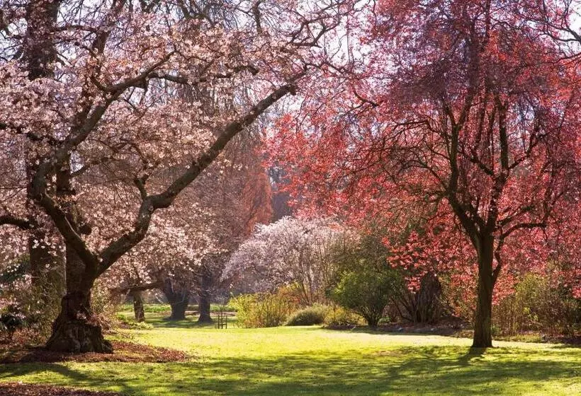 Fotos del hotel Parkview On Hagley:  6