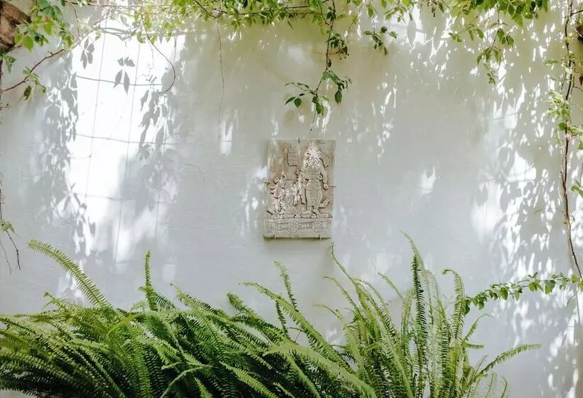 Fotos del hotel Casa Quetzal:  4