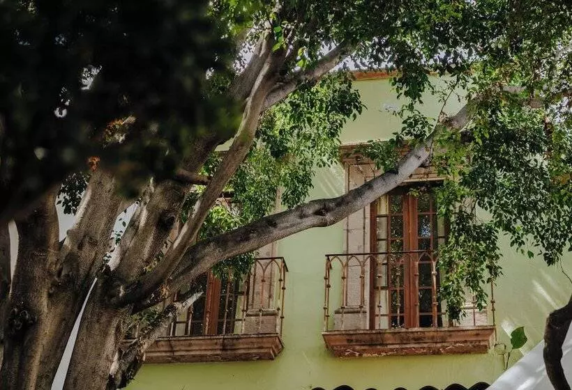 Fotos del hotel Casa Quetzal:  8