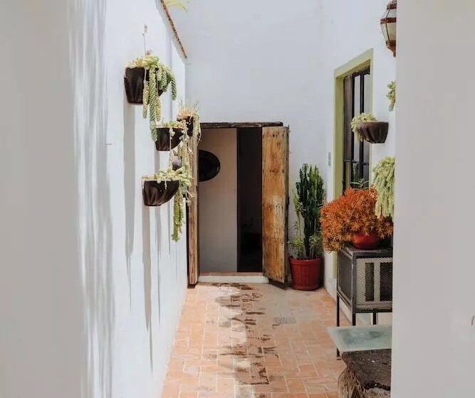 Fotos del hotel Casa Quetzal:  14