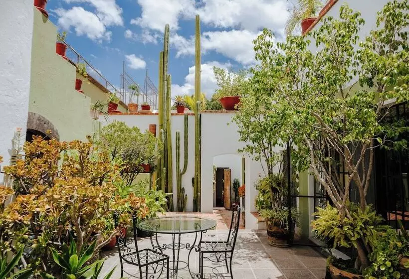 Fotos del hotel Casa Quetzal:  7