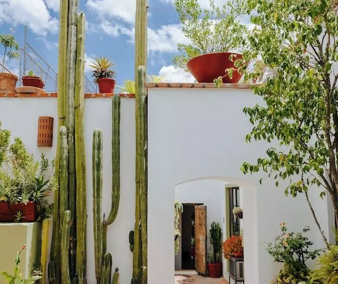 Fotos del hotel Casa Quetzal:  17