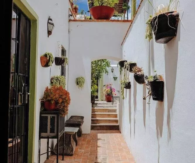 Fotos del hotel Casa Quetzal:  20