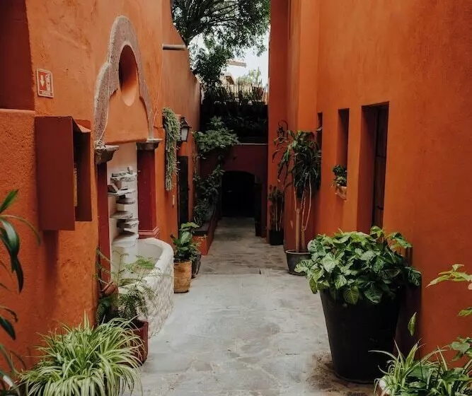 Fotos del hotel Casa Quetzal:  24