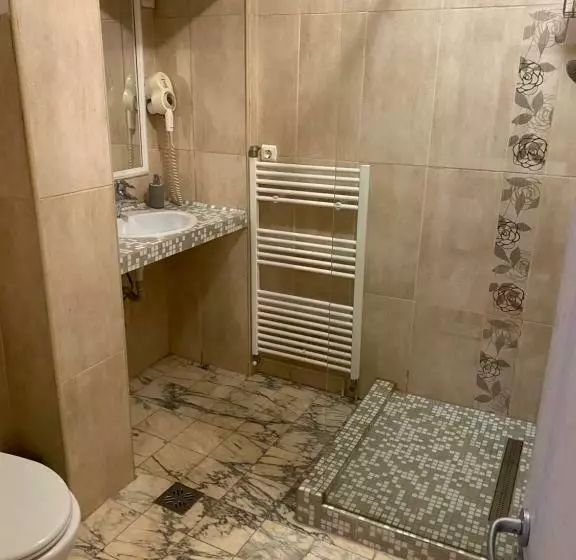 Fotos del hotel Pensiunea Italiana:  9