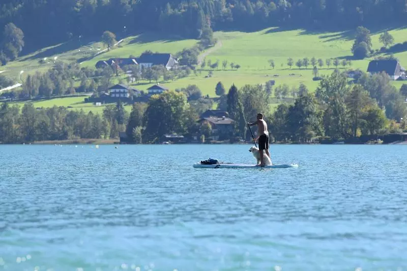 Fotos del hotel Zimmerbräu:  16