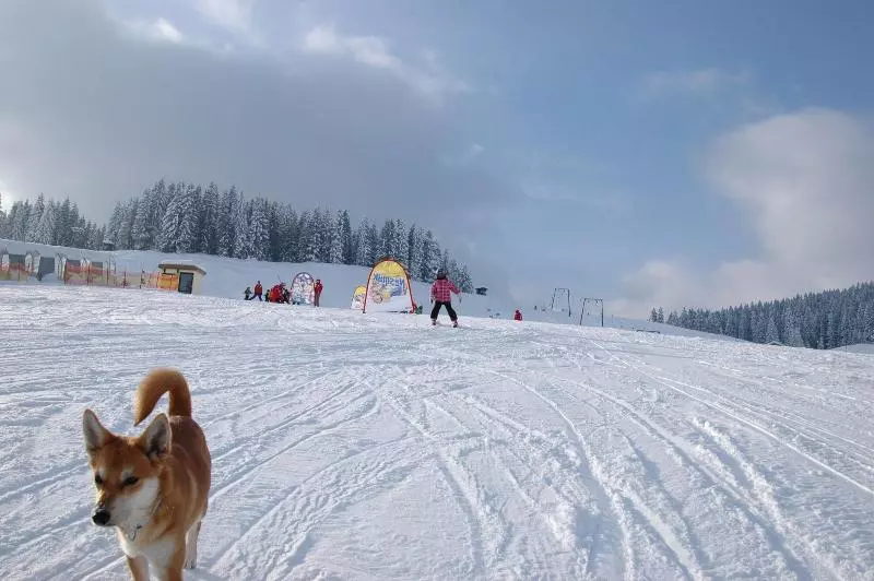 Fotos del hotel Zimmerbräu:  18