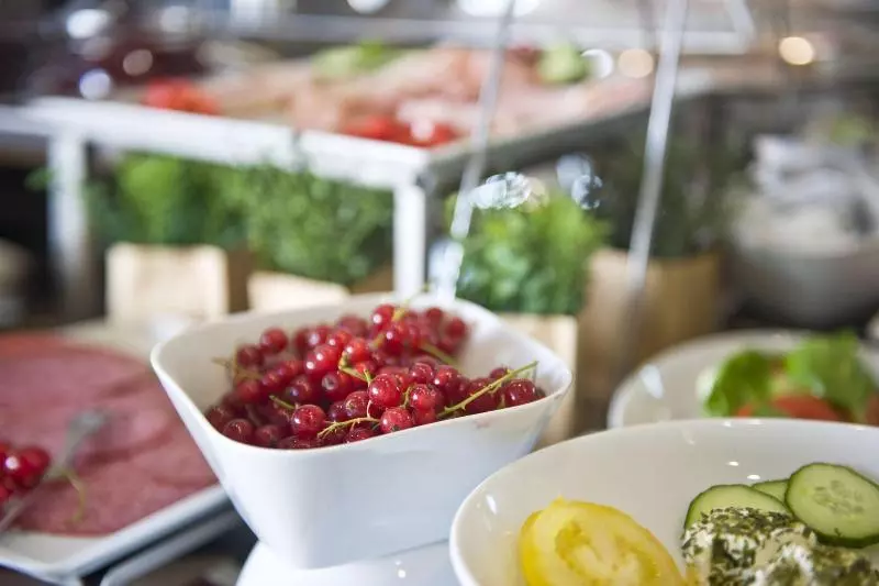 Fotos del hotel Gideon:  8