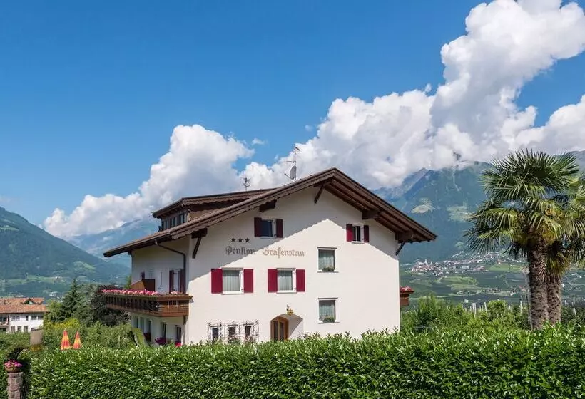 Fotos del hotel Guesthouse Pension Grafenstein:  6