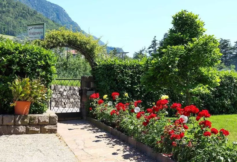 Fotos del hotel Guesthouse Pension Grafenstein:  12