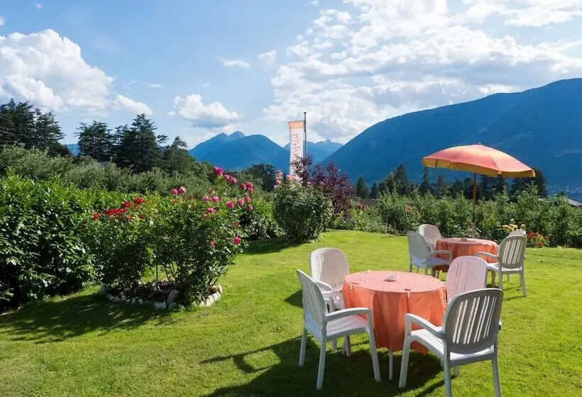 Fotos del hotel Guesthouse Pension Grafenstein:  8