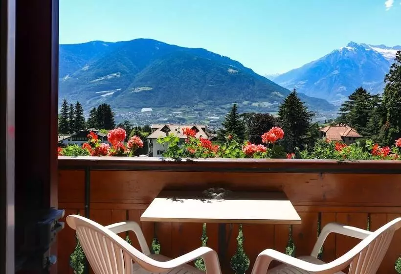 Fotos del hotel Guesthouse Pension Grafenstein:  3