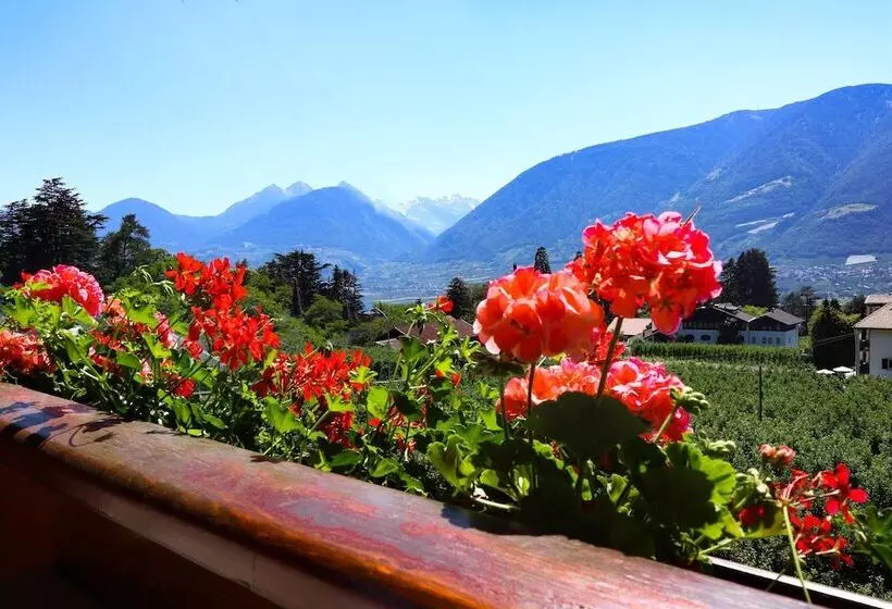 Fotos del hotel Guesthouse Pension Grafenstein:  15