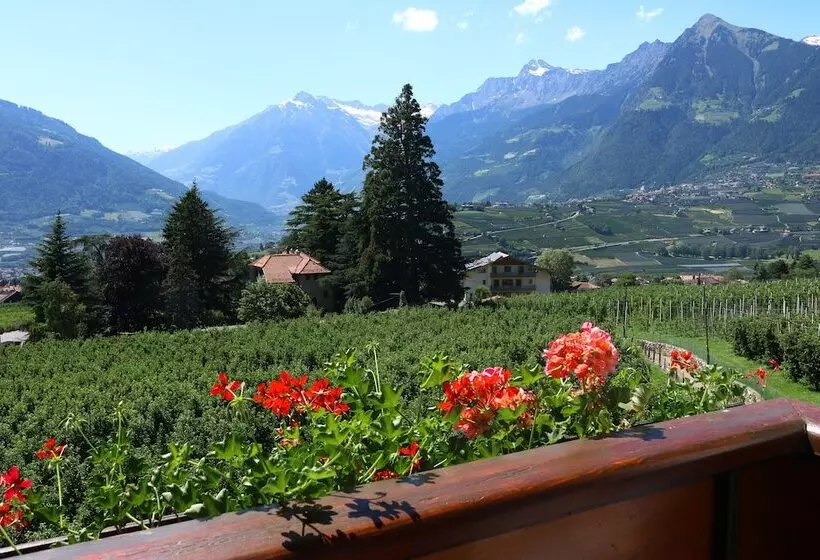 Fotos del hotel Guesthouse Pension Grafenstein:  17