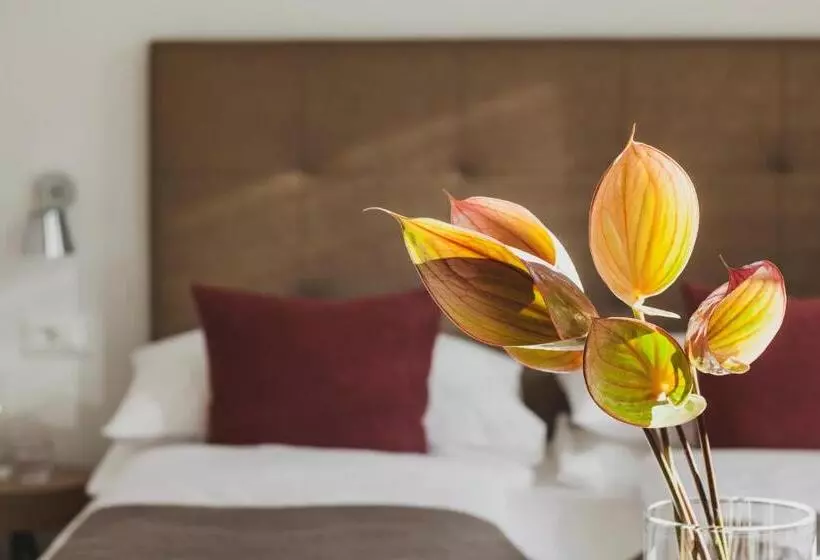 Fotos del hotel Magdalener Hof:  9