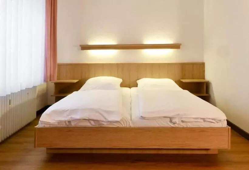 Fotos del hotel Pegasus München:  14