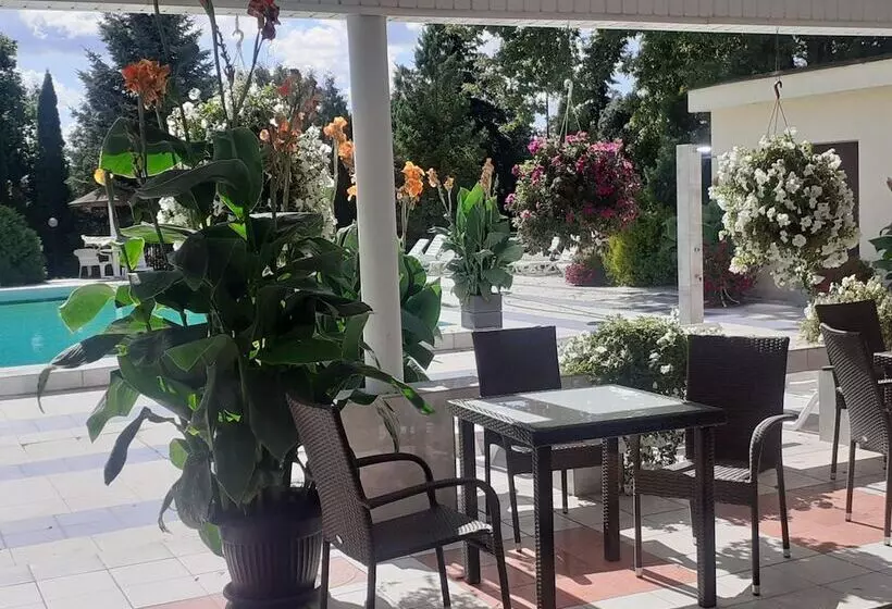 Fotos del hotel Ambasador Chojny:  9