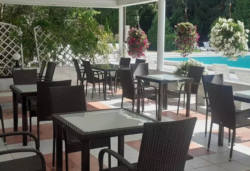 Fotos del hotel Ambasador Chojny:  16