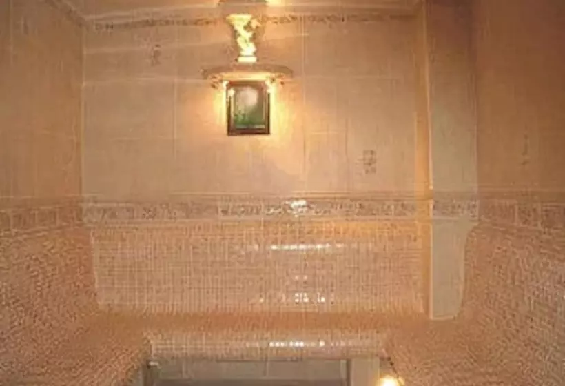 Fotos del hotel Ambasador Chojny:  5