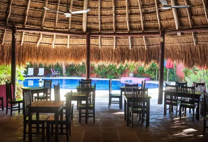 Fotos del hotel Casa Don Diego:  5