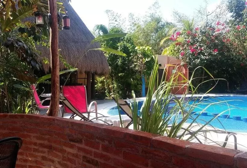 Fotos del hotel Casa Don Diego:  13