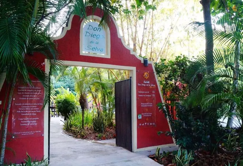 Fotos del hotel Casa Don Diego:  6