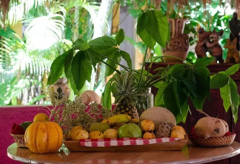 Fotos del hotel Casa Don Diego:  18