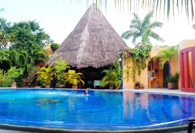 Fotos del hotel Casa Don Diego:  24