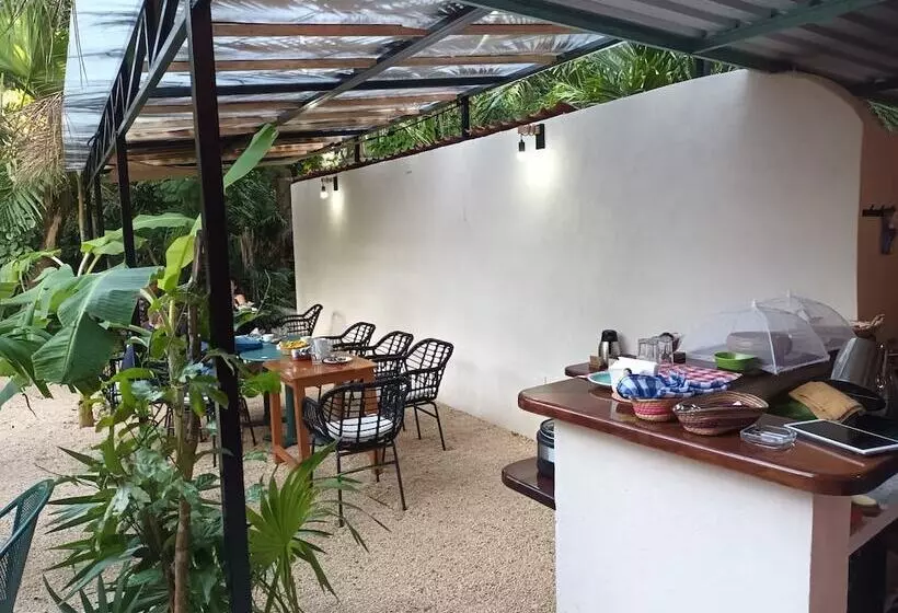 Fotos del hotel Casa Don Diego:  7