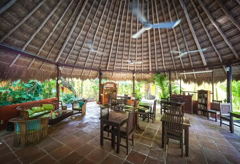 Fotos del hotel Casa Don Diego:  12