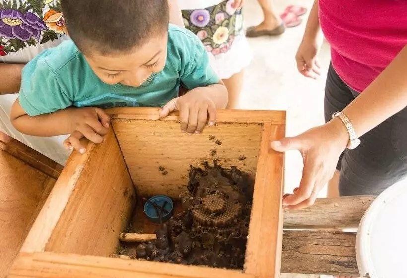 Fotos del hotel Casa Don Diego:  9