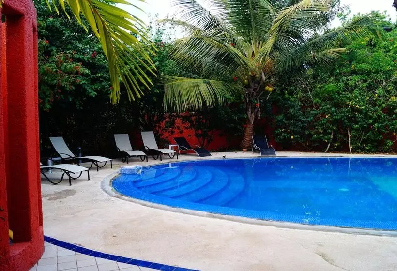 Fotos del hotel Casa Don Diego:  17