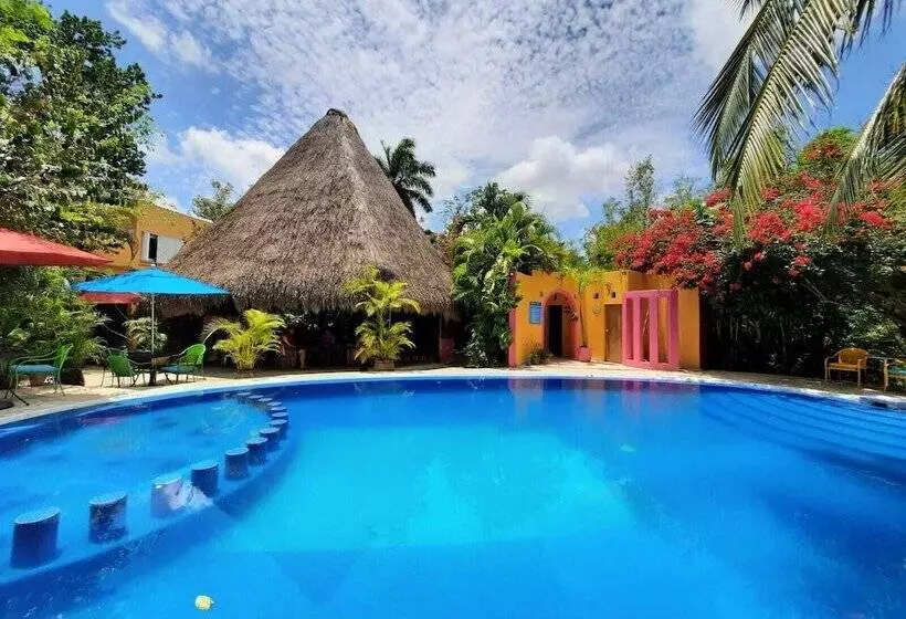 Fotos del hotel Casa Don Diego:  22