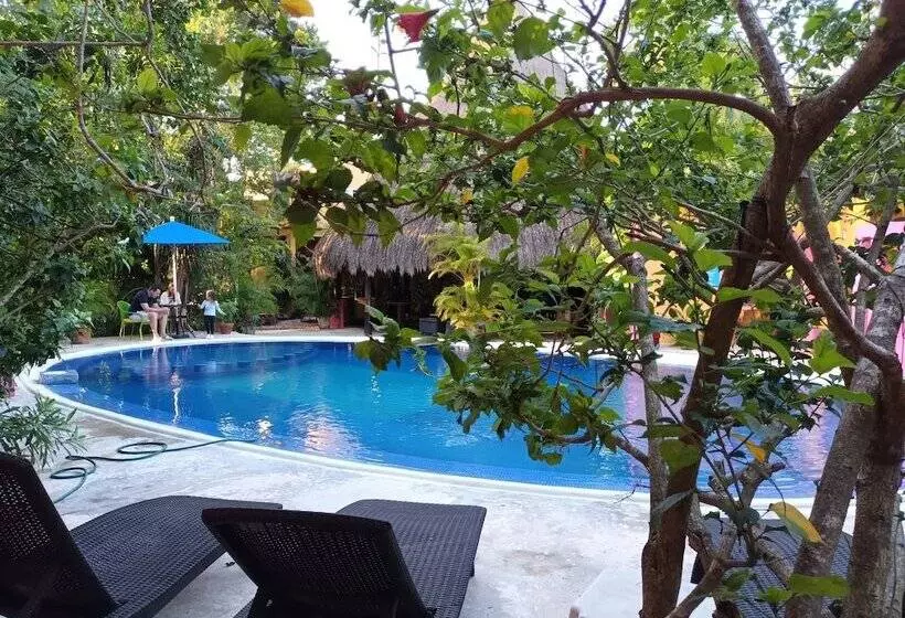 Fotos del hotel Casa Don Diego:  11