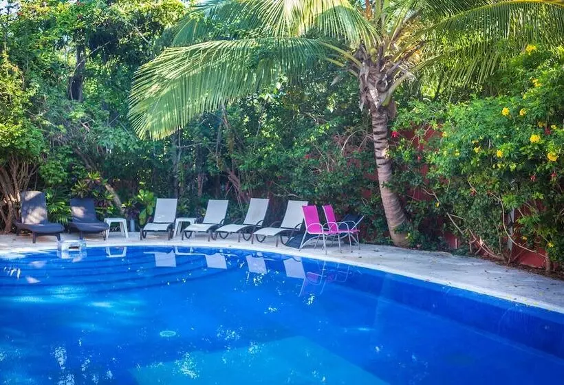 Fotos del hotel Casa Don Diego:  20