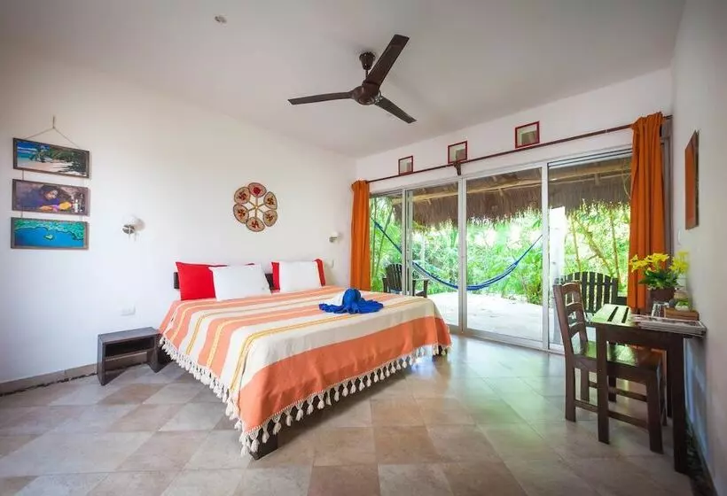 Fotos del hotel Casa Don Diego:  19