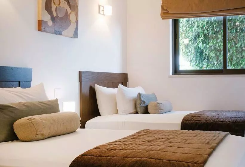 Fotos del hotel Melia Dunas Beach Resort & Spa  All Inclusive:  24