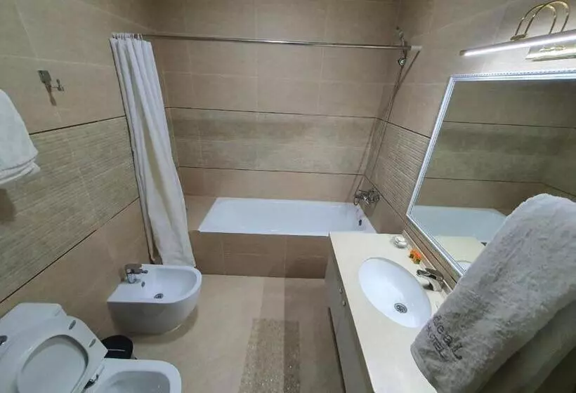 Fotos del hotel Ideal:  6