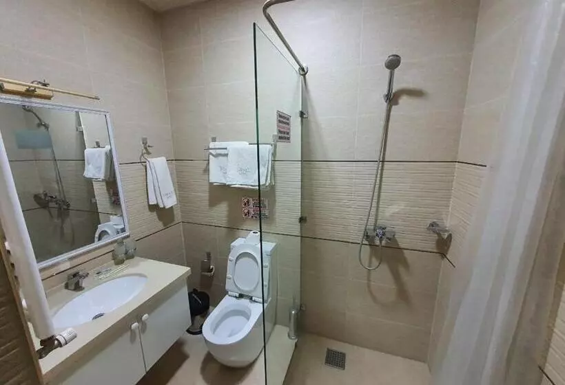 Fotos del hotel Ideal:  3