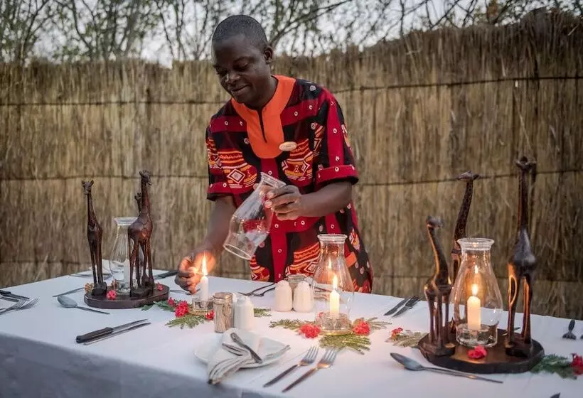 Fotos del hotel Taita Falcon Lodge:  18