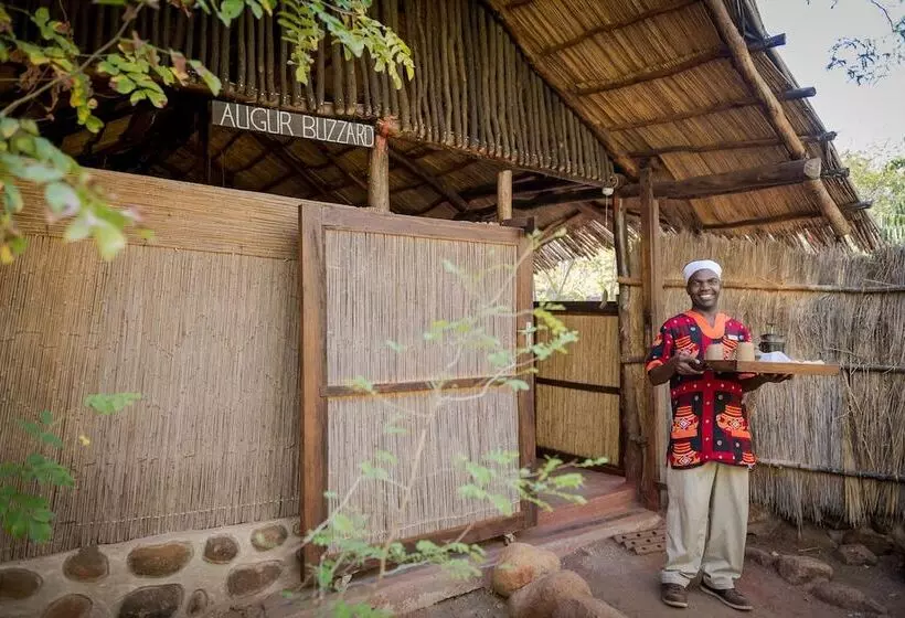 Fotos del hotel Taita Falcon Lodge:  22