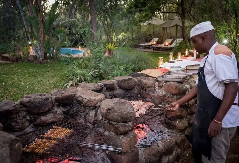 Fotos del hotel Taita Falcon Lodge:  24