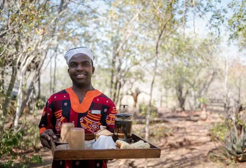 Fotos del hotel Taita Falcon Lodge:  10