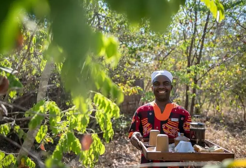 Fotos del hotel Taita Falcon Lodge:  19