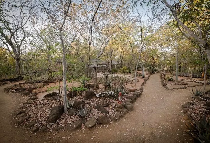 Fotos del hotel Taita Falcon Lodge:  17