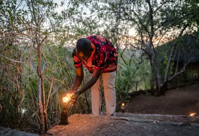 Fotos del hotel Taita Falcon Lodge:  16