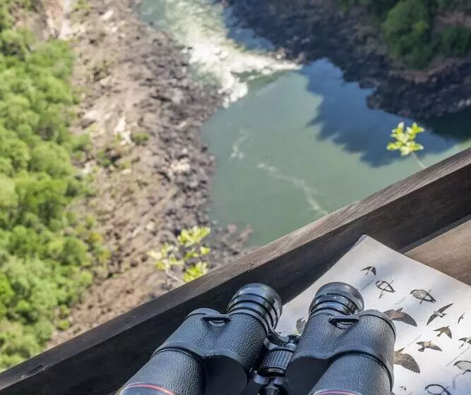 Fotos del hotel Taita Falcon Lodge:  13