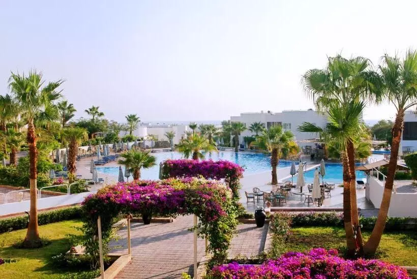 Fotos del hotel Sharm Reef Resort:  25